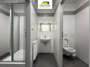 Pronájem skladu, Kladno - Dubí, Dubská, 1026 m2