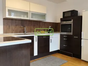 Pronájem bytu 2+kk, Brno - Zábrdovice, Slepá, 45 m2