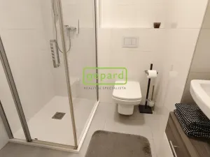 Pronájem bytu 2+kk, Brno - Zábrdovice, Slepá, 45 m2