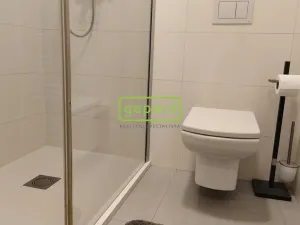 Pronájem bytu 2+kk, Brno - Zábrdovice, Slepá, 45 m2