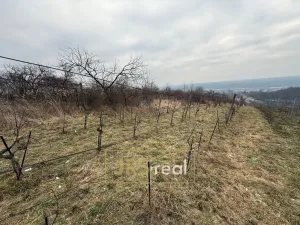 Prodej pozemku, Bzenec, 1231 m2