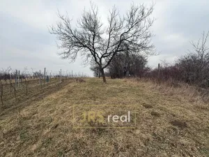 Prodej pozemku, Bzenec, 1231 m2