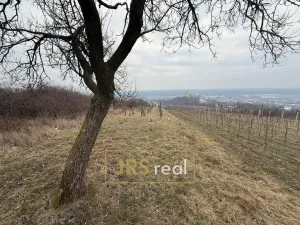 Prodej pozemku, Bzenec, 1231 m2