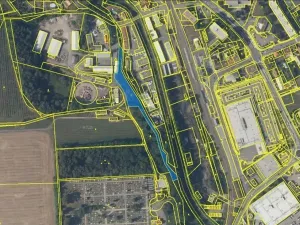 Prodej lesa, Rychnov nad Kněžnou, 3801 m2