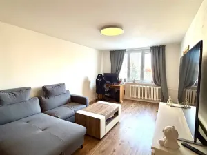 Pronájem bytu 2+1, Cheb, Americká, 61 m2