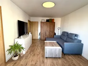 Pronájem bytu 2+1, Cheb, Americká, 61 m2