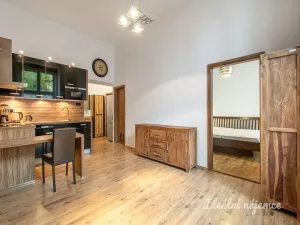 Pronájem bytu 2+kk, Praha - Žižkov, Přemyslovská, 46 m2