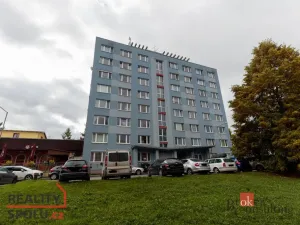 Pronájem bytu 1+1, Plzeň - Jižní Předměstí, Brožíkova, 36 m2