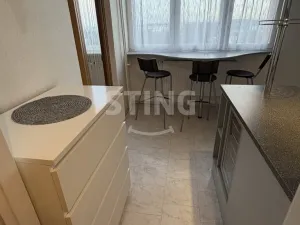 Pronájem bytu 1+1, Ostrava, Evžena Rošického, 41 m2