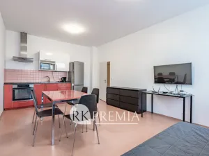 Pronájem bytu 3+kk, Teplice, U Hadích lázní, 86 m2