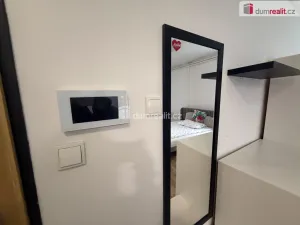 Pronájem bytu 1+kk, Telnice, 33 m2