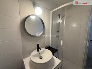 Pronájem bytu 1+kk, Tisá, 33 m2