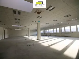 Pronájem výrobních prostor, Přimda - Mlýnec, 5000 m2