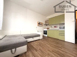 Prodej bytu 1+1, Bor, Borská, 40 m2