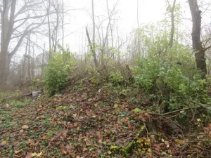 Dražba zahrady, Staré Město, 490 m2