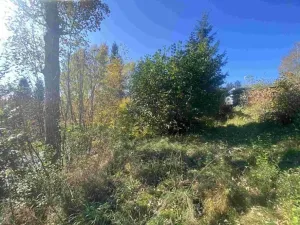 Dražba louky, Lučany nad Nisou, 179 m2