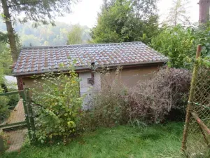 Dražba chaty, Stříbrná Skalice, 42 m2