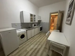 Pronájem bytu 1+1, České Budějovice - České Budějovice 6, Mánesova, 44 m2