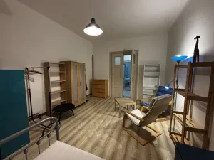 Pronájem bytu 1+1, České Budějovice - České Budějovice 6, Mánesova, 44 m2