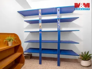 Pronájem bytu 2+kk, Plzeň - Východní Předměstí, 48 m2