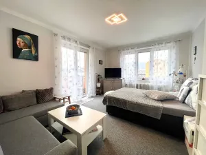 Prodej bytu 1+1, Ústí nad Labem, Velká Hradební, 35 m2