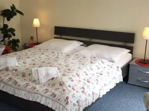 Prodej ubytování, Jindřichův Hradec - Jindřichův Hradec I, 600 m2