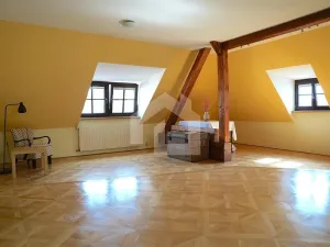 Prodej ubytování, Jindřichův Hradec - Jindřichův Hradec I, 600 m2