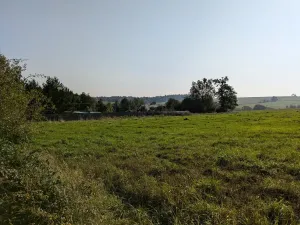 Prodej pozemku pro bydlení, Nové Lublice, 3046 m2