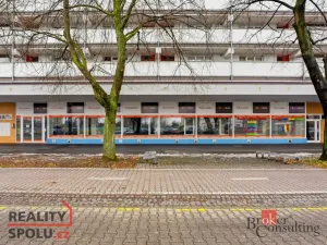 Pronájem obchodního prostoru, Pardubice - Zelené Předměstí, Palackého třída, 395 m2