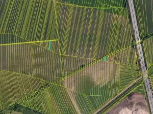 Prodej pole, Blučina, 19297 m2