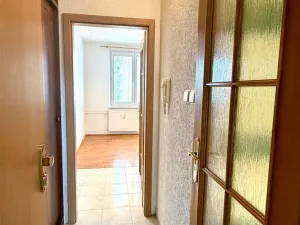 Prodej bytu 1+1, Cheb, Lesní, 36 m2