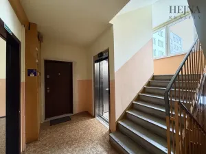 Prodej bytu 2+1, Ostrava, Dr. Malého, 45 m2