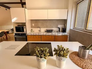 Pronájem bytu 3+kk, Praha - Smíchov, Staropramenná, 140 m2