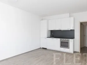 Pronájem bytu 2+kk, Praha - Hodkovičky, Šífařská, 48 m2