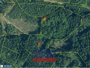 Prodej lesa, Kasejovice - Chloumek, 4325 m2