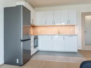 Pronájem bytu 2+kk, Praha - Žižkov, Olgy Havlové, 52 m2