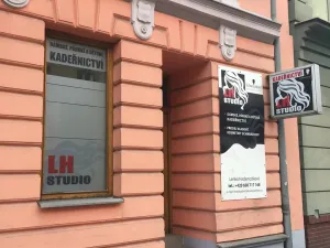 Pronájem komerční nemovitosti, Opava, Krnovská, 54 m2