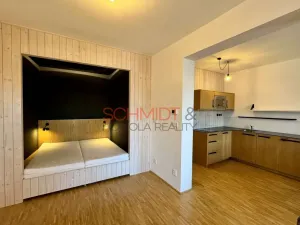 Pronájem bytu 1+kk, Mikulov, Purkyňova, 44 m2