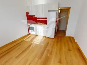 Pronájem bytu 1+kk, Plzeň, Šimerova, 20 m2