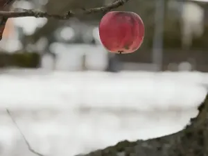 Prodej pozemku pro bydlení, Strání, 669 m2