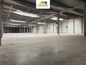 Pronájem výrobních prostor, Bor - Nová Hospoda, 6928 m2