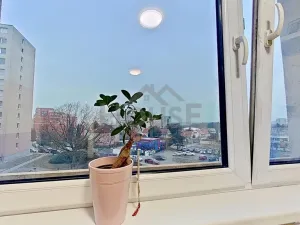 Prodej bytu 3+kk, Praha - Kamýk, Cholupická, 45 m2