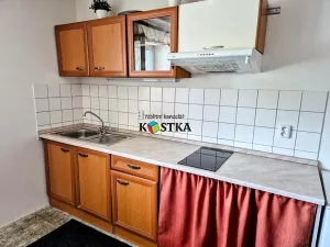 Prodej rodinného domu, Leskovec nad Moravicí, 200 m2