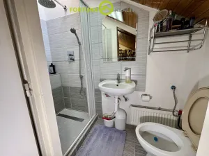 Prodej rodinného domu, Budišov nad Budišovkou, Horská, 273 m2