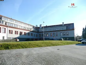 Pronájem bytu 2+kk, Týnec nad Sázavou, 30 m2