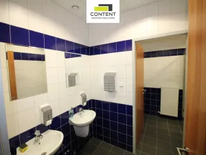 Pronájem výrobních prostor, Vejprnice, Tyršova, 5000 m2