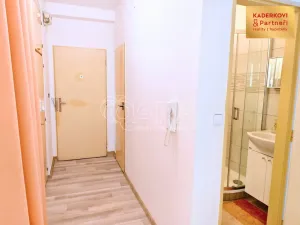 Pronájem bytu 3+1, Blansko, 64 m2