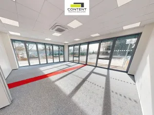 Pronájem výrobních prostor, Havlíčkův Brod, Kyjovská, 4500 m2