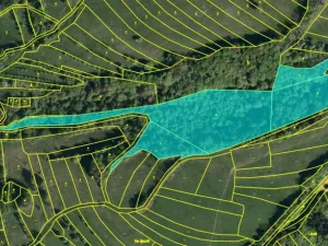 Prodej pozemku, Valašská Senice, 313789 m2