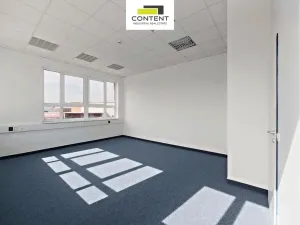 Pronájem skladu, Přehýšov, 13000 m2